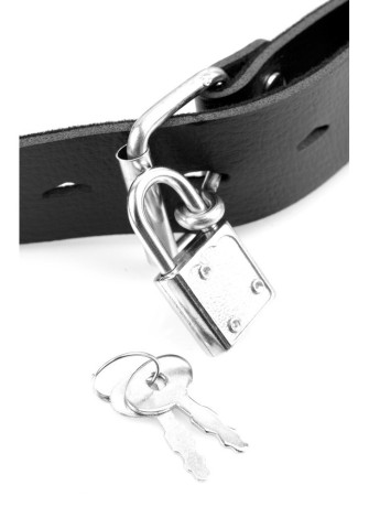 Deluxe Ball Gag with Dildo